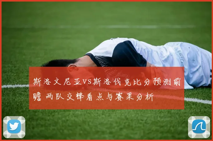斯洛文尼亚vs斯洛伐克比分预测前瞻 两队交锋看点与赛果分析